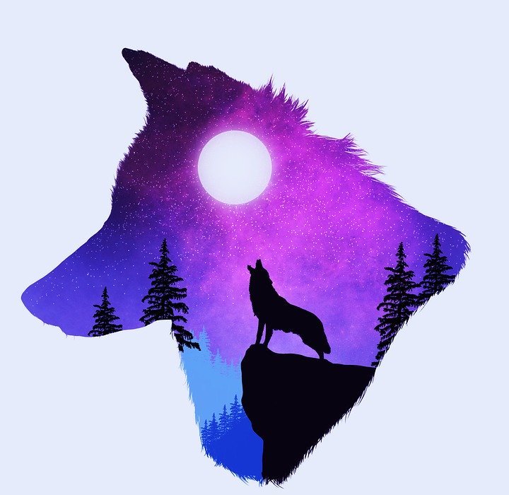 Free moon wolf Images - Search Free Images on Everypixel