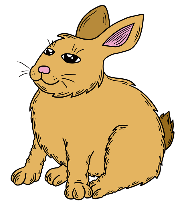 Free rabbit cartoon Images - Search Free Images on Everypixel